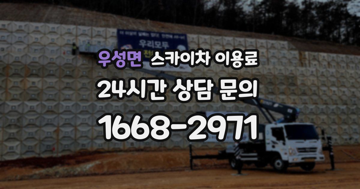우성면 스카이차 이용료