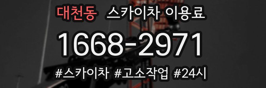 대천동 스카이차 이용료