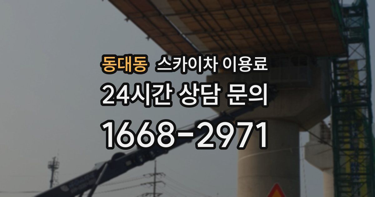 동대동 스카이차 이용료