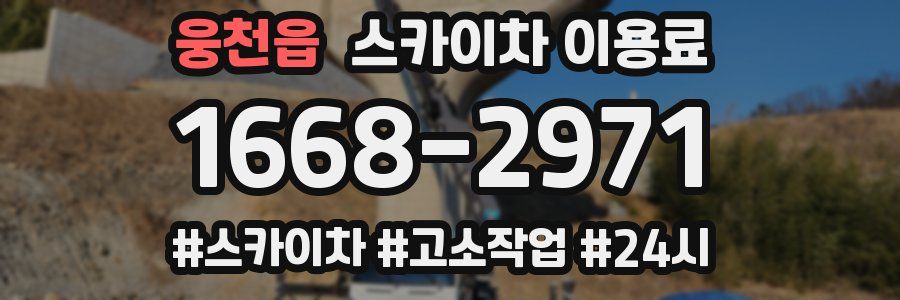 웅천읍 스카이차 이용료