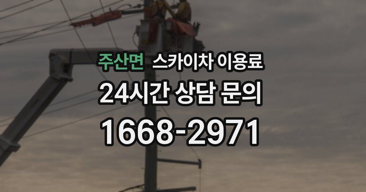 주산면 스카이차 이용료