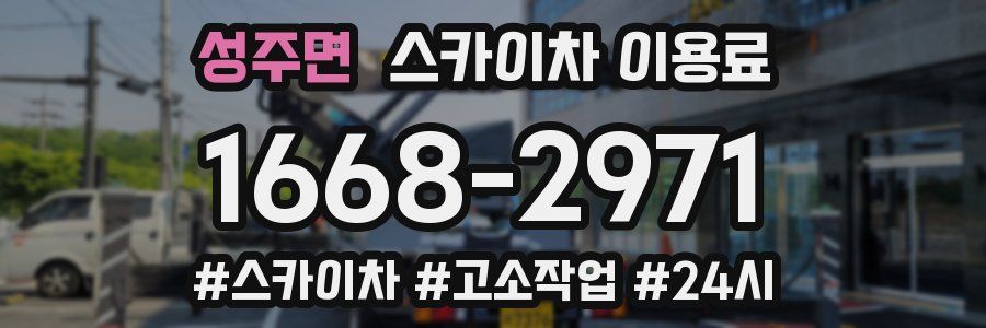 성주면 스카이차 이용료