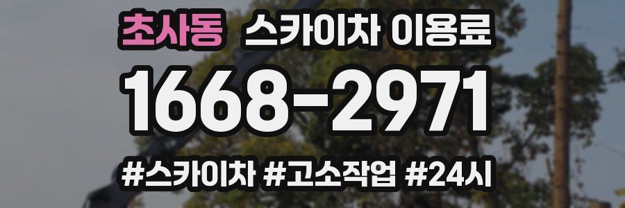 초사동 스카이차 이용료