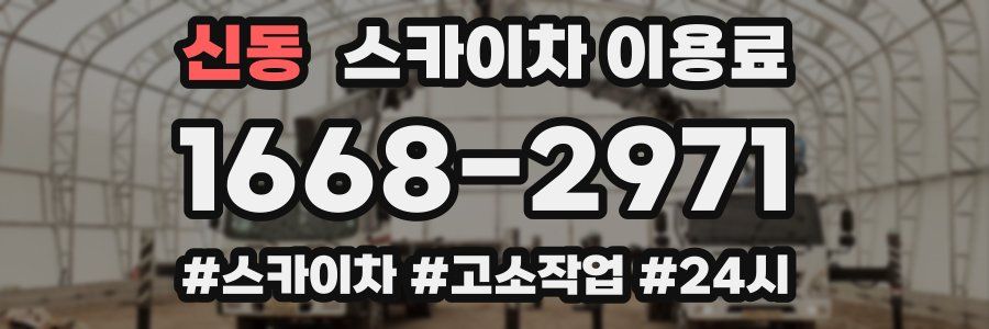 신동 스카이차 이용료