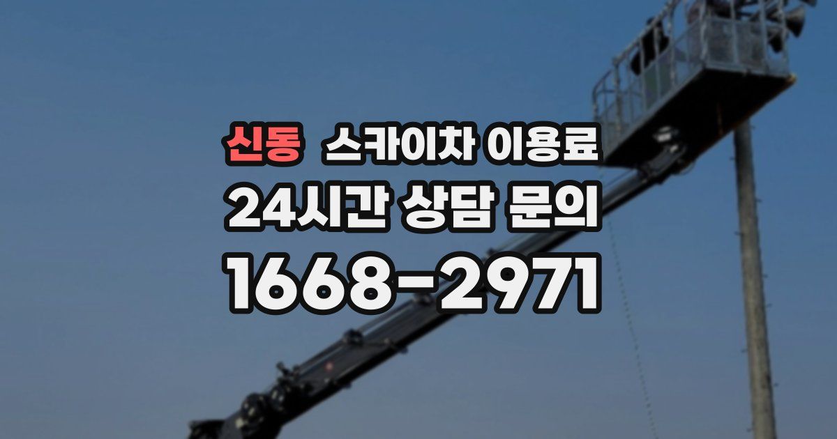 신동 스카이차 이용료