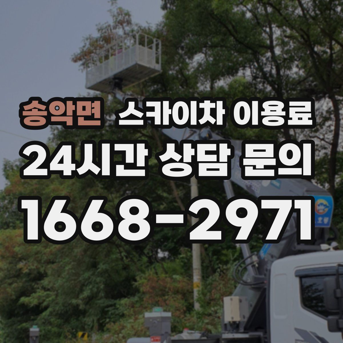 송악면 스카이차 이용료