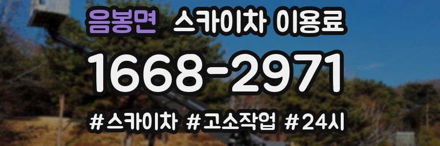 음봉면 스카이차 이용료