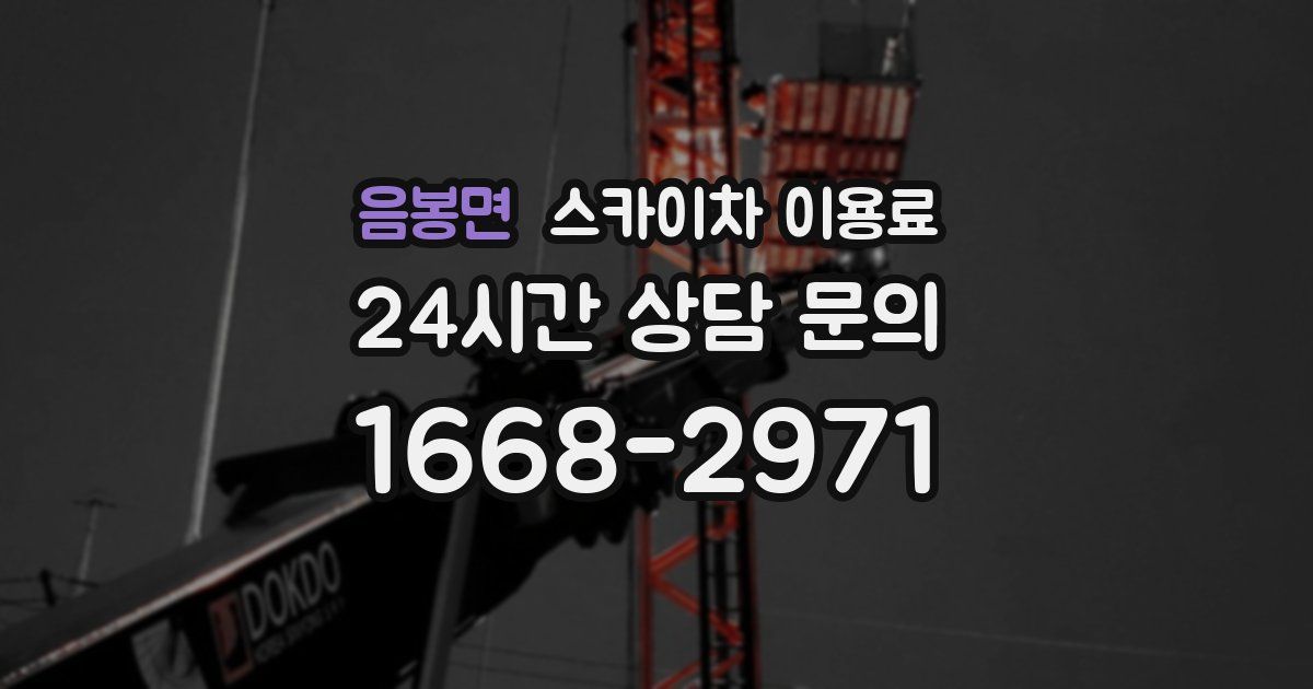 음봉면 스카이차 이용료