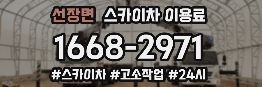 선장면 스카이차 이용료
