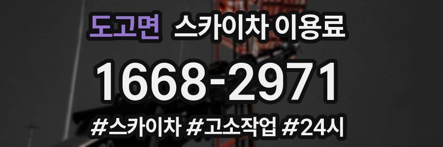 도고면 스카이차 이용료