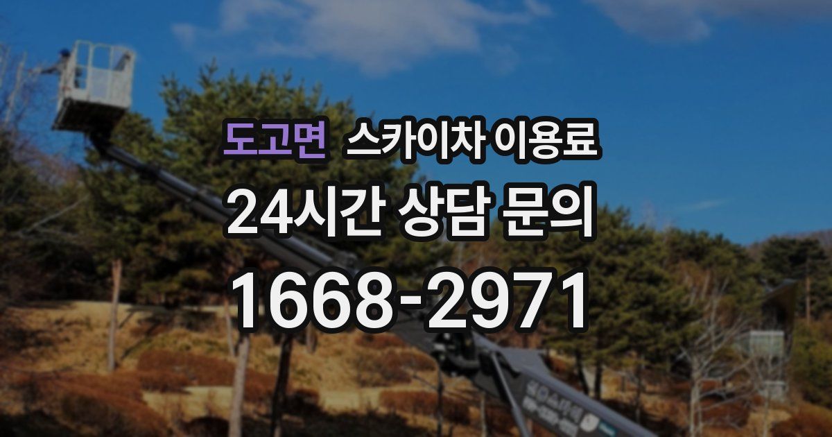 도고면 스카이차 이용료