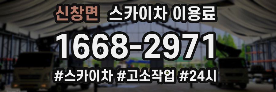 신창면 스카이차 이용료