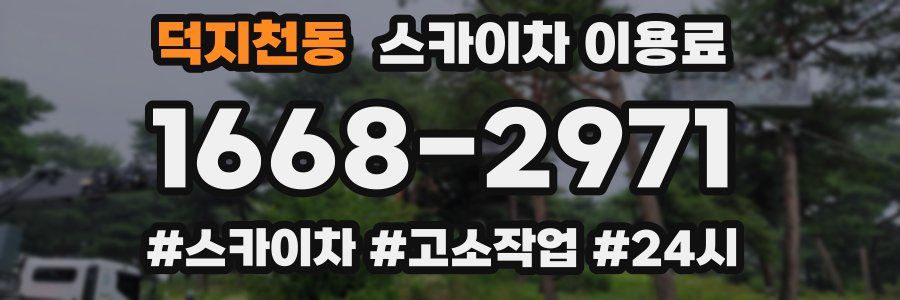 덕지천동 스카이차 이용료