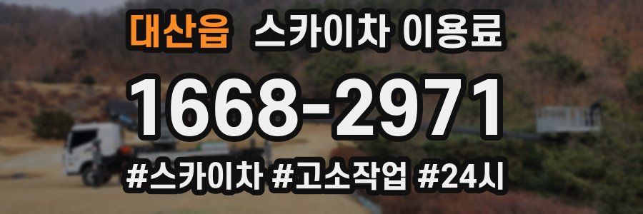 대산읍 스카이차 이용료