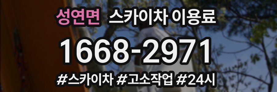 성연면 스카이차 이용료