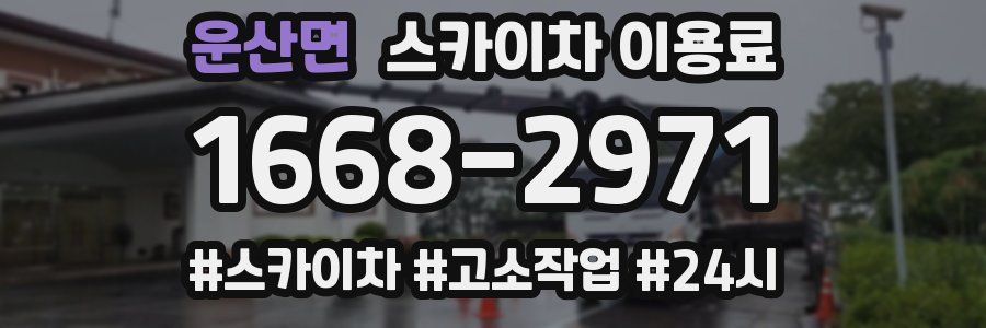 운산면 스카이차 이용료