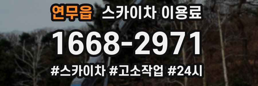 연무읍 스카이차 이용료