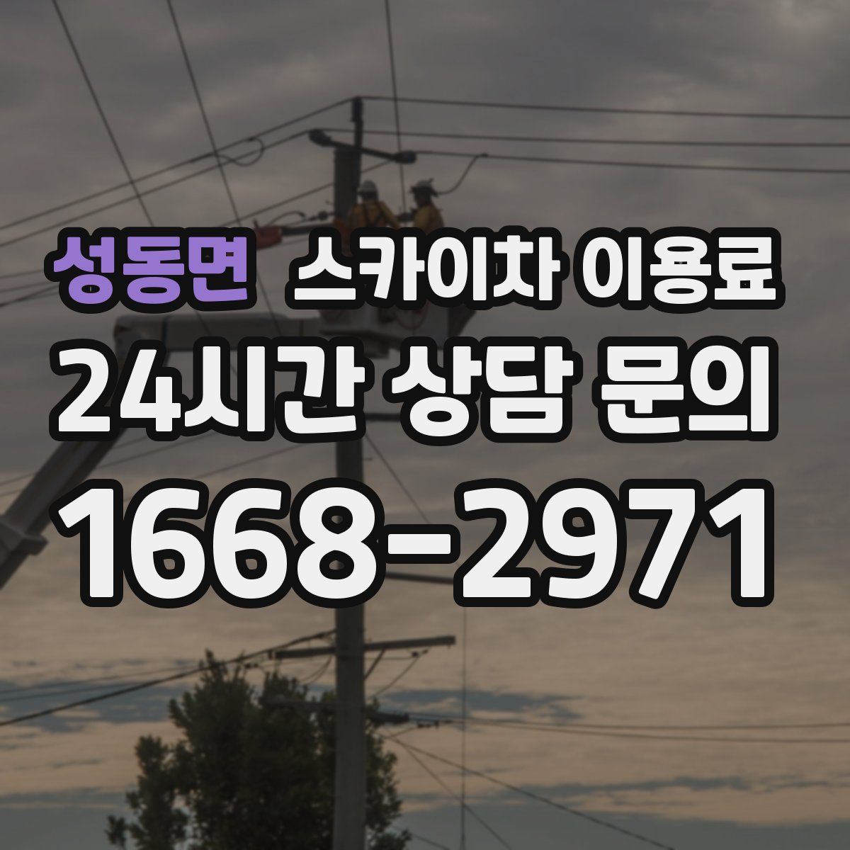 성동면 스카이차 이용료