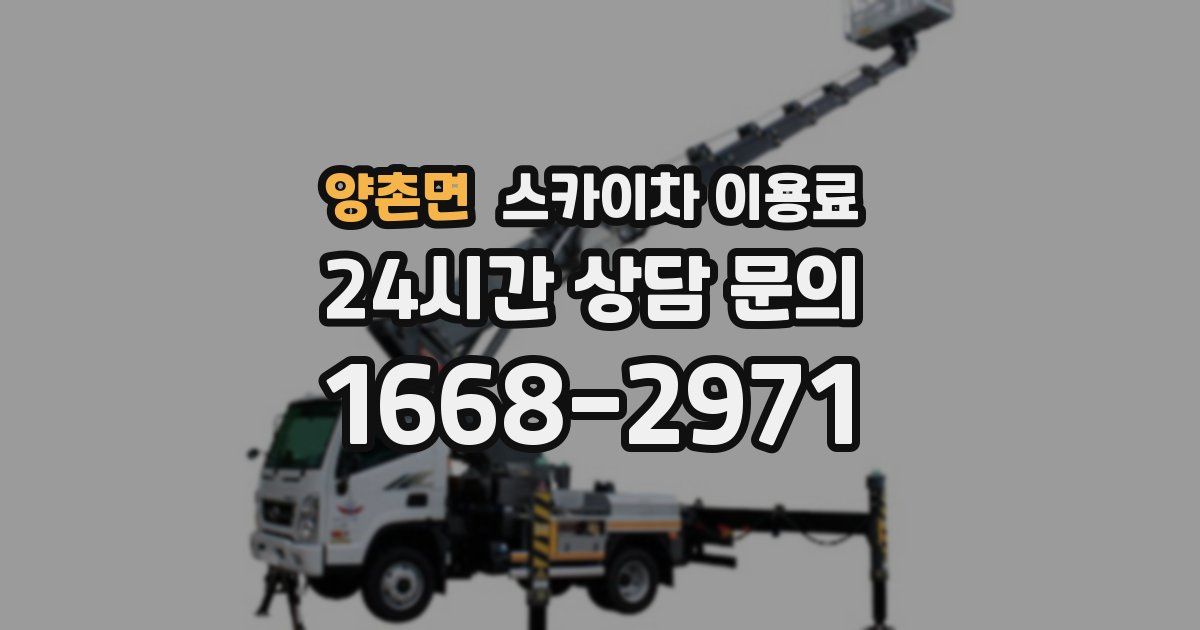 양촌면 스카이차 이용료