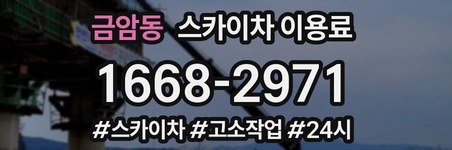 금암동 스카이차 이용료