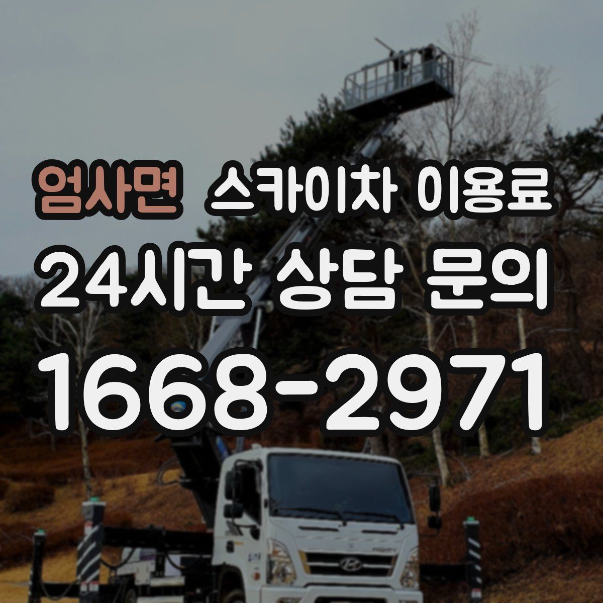 엄사면 스카이차 이용료