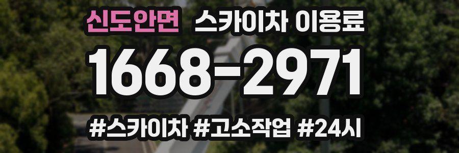 신도안면 스카이차 이용료