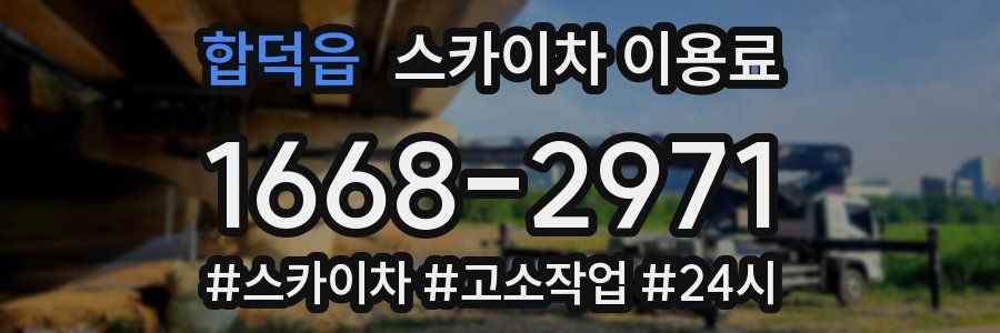 합덕읍 스카이차 이용료