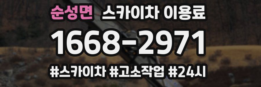 순성면 스카이차 이용료
