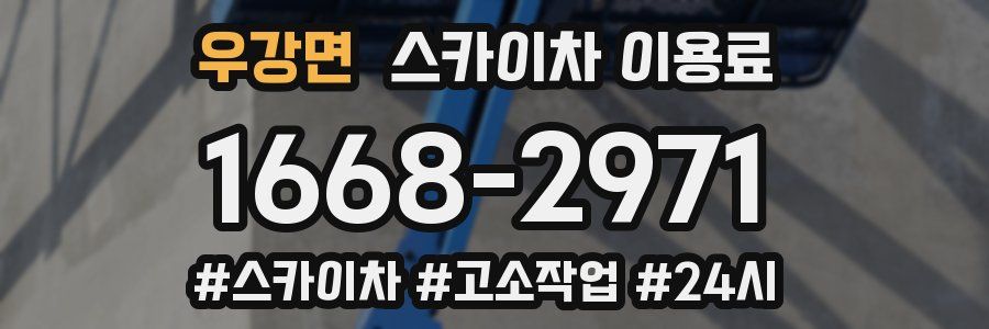 우강면 스카이차 이용료