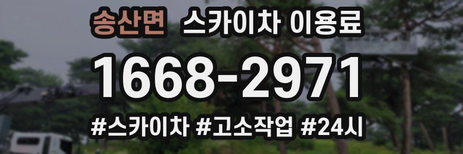 송산면 스카이차 이용료