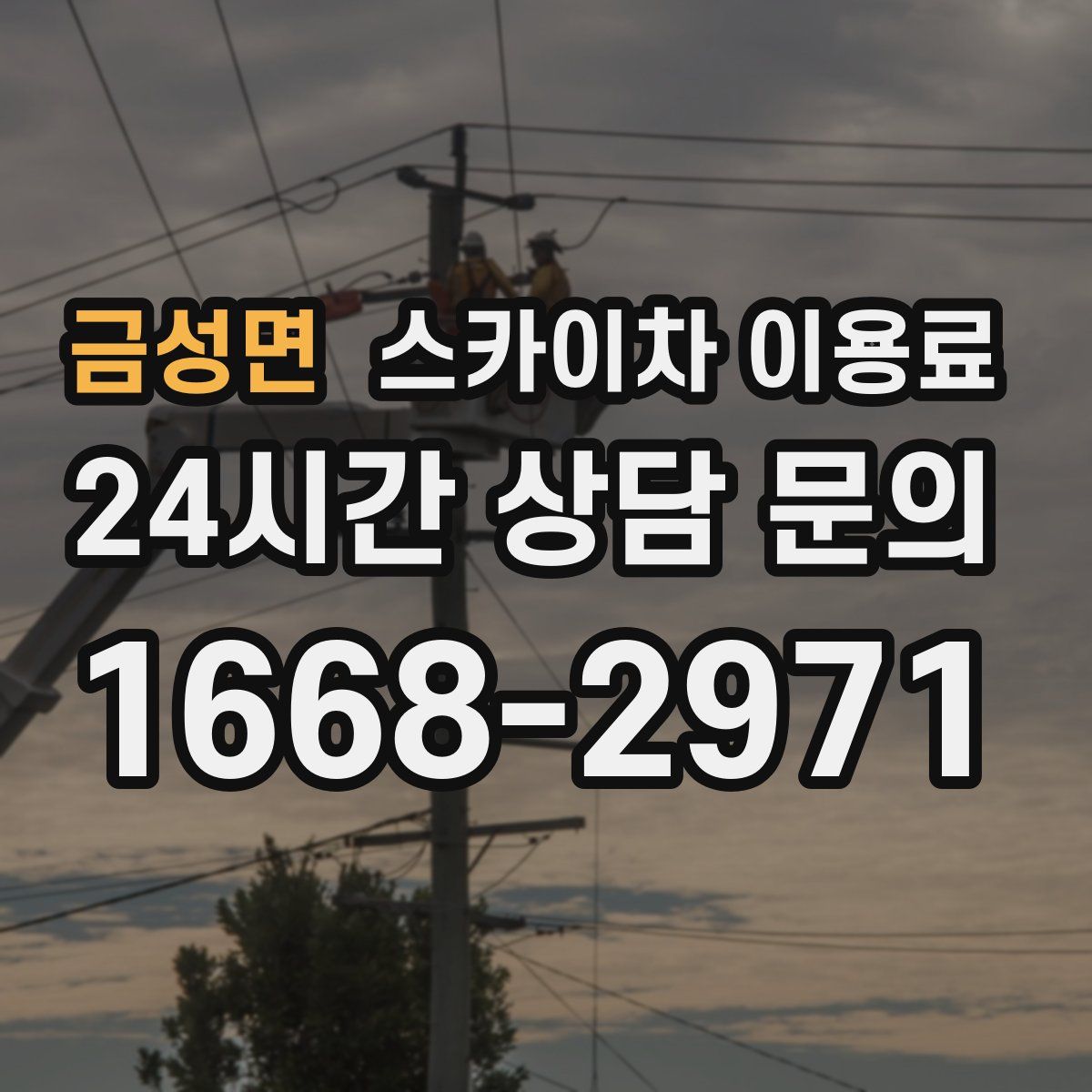 금성면 스카이차 이용료