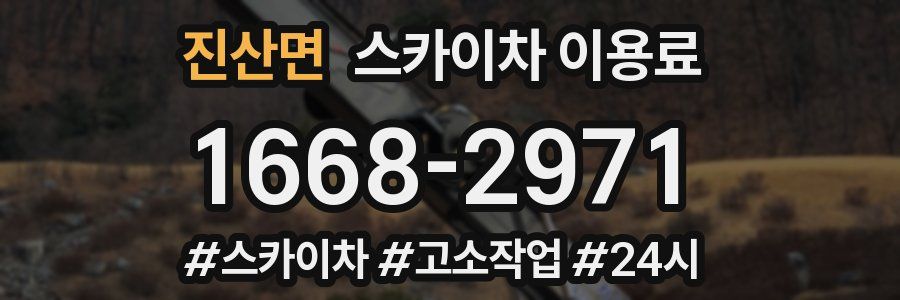 진산면 스카이차 이용료