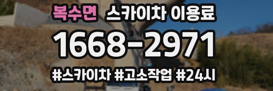복수면 스카이차 이용료