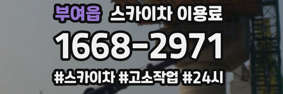 부여읍 스카이차 이용료