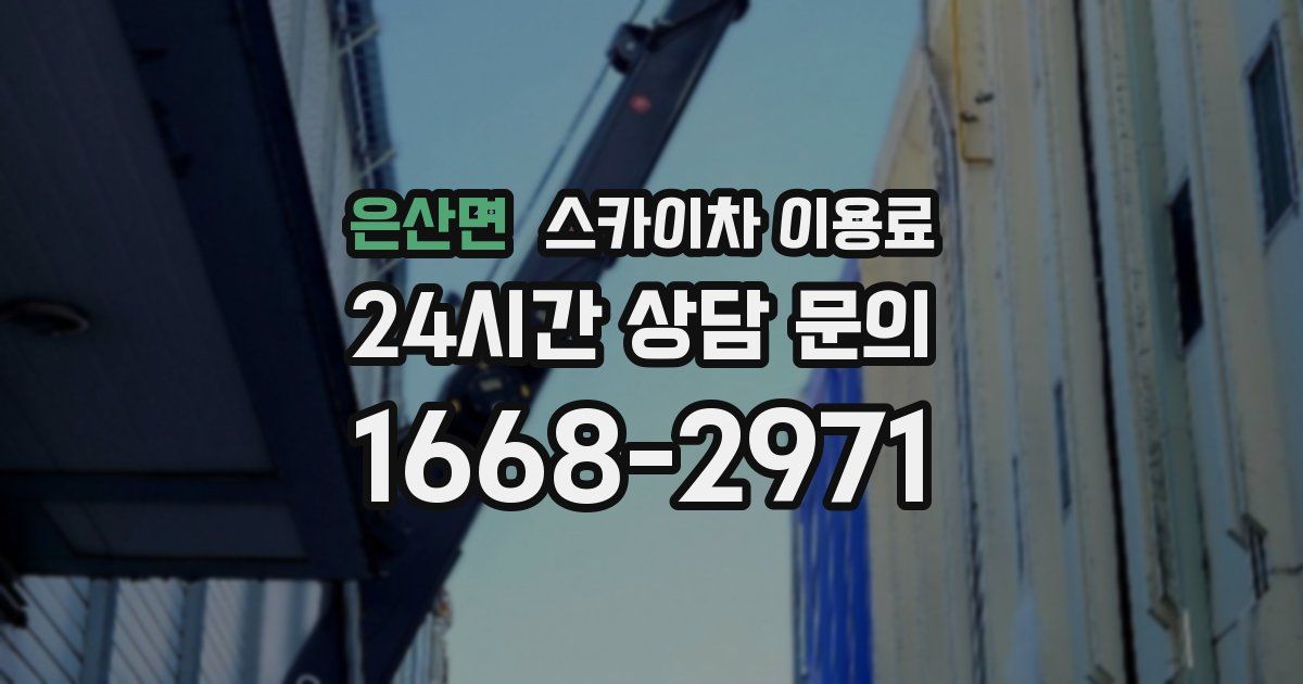 은산면 스카이차 이용료