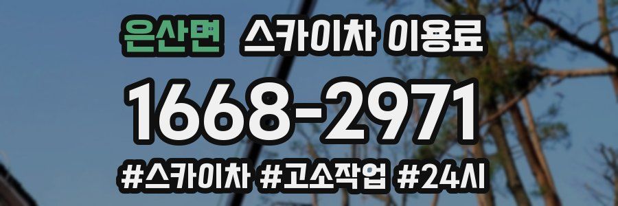 은산면 스카이차 이용료