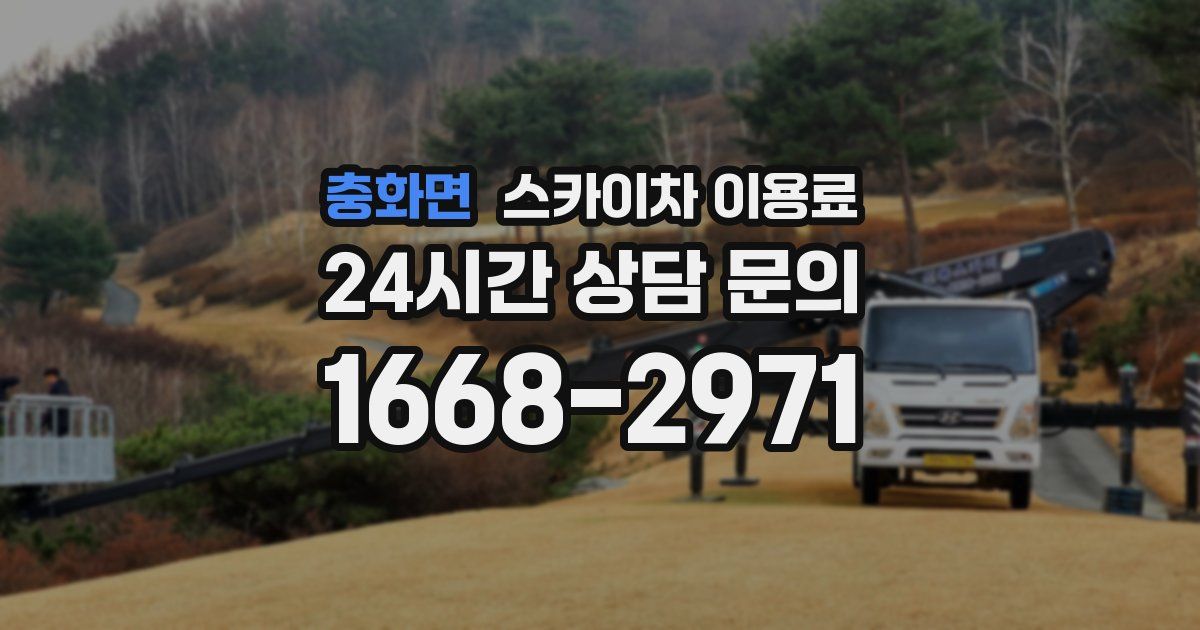 충화면 스카이차 이용료