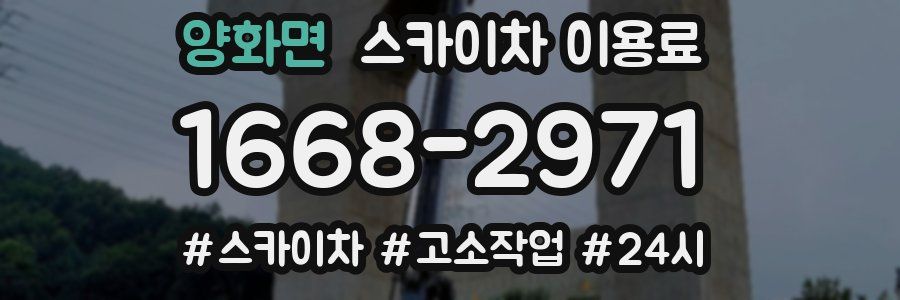 양화면 스카이차 이용료