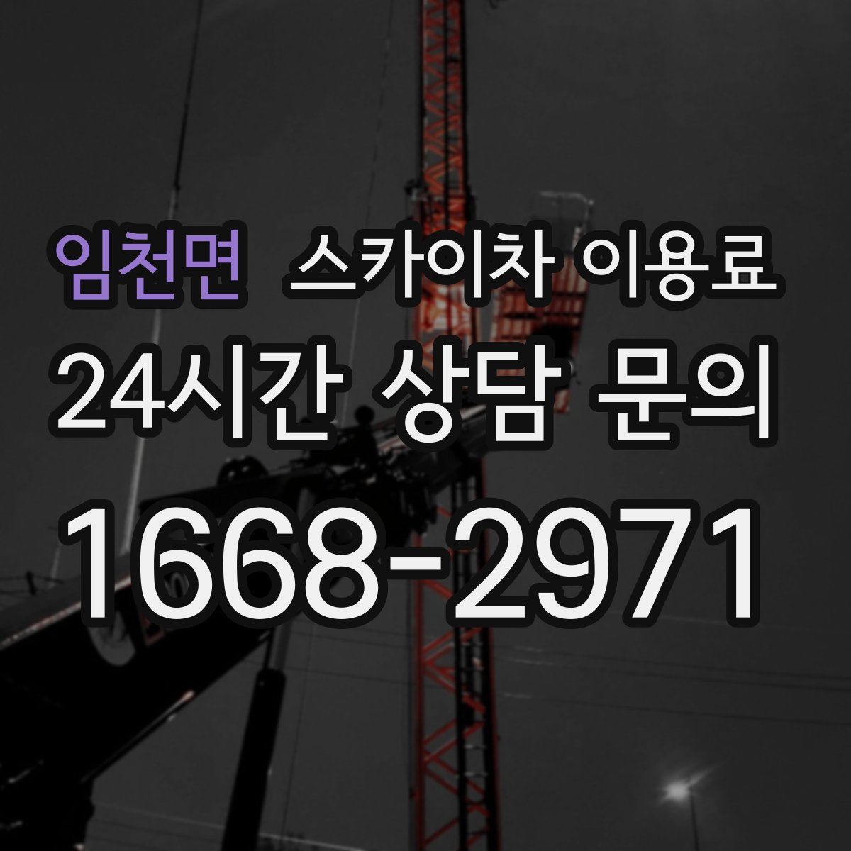 임천면 스카이차 이용료