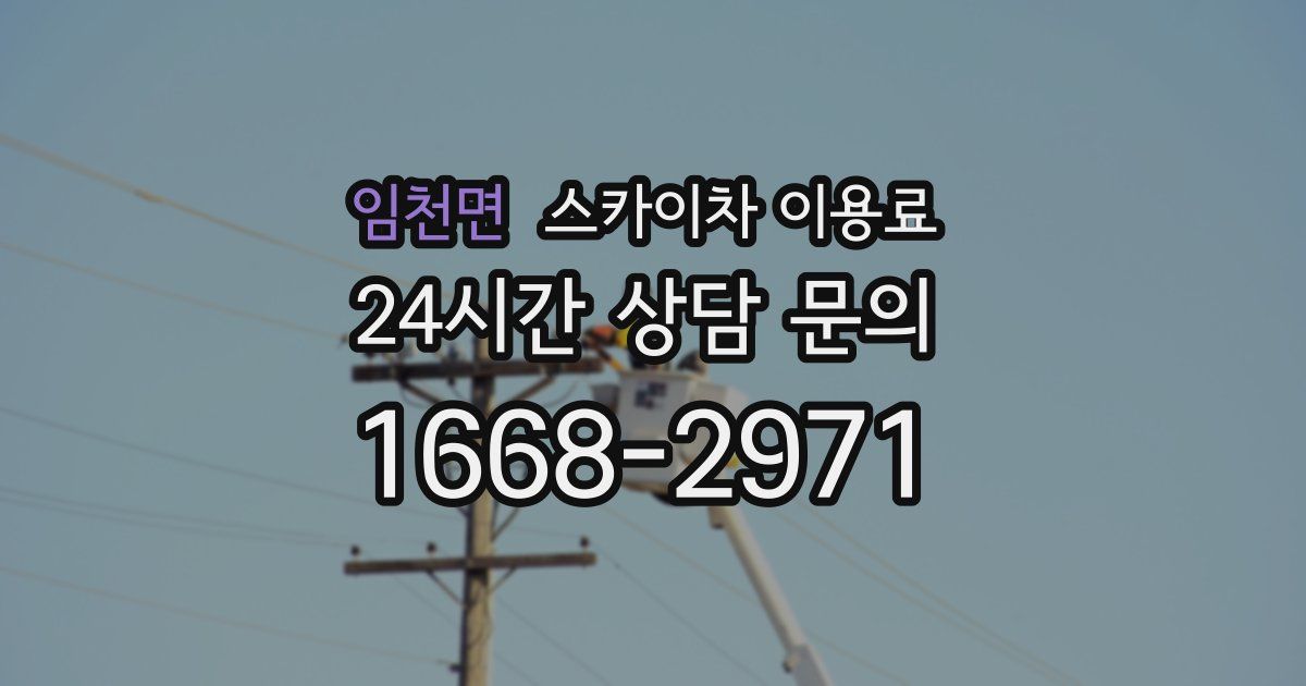임천면 스카이차 이용료