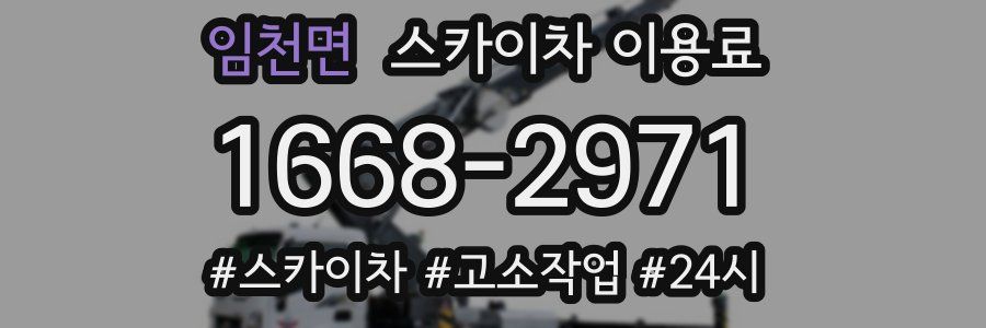 임천면 스카이차 이용료