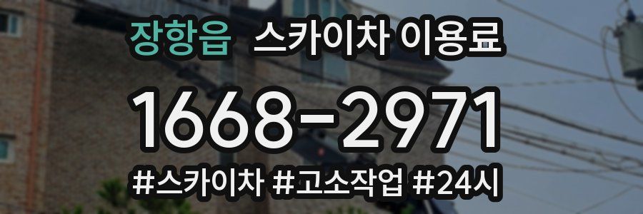 장항읍 스카이차 이용료