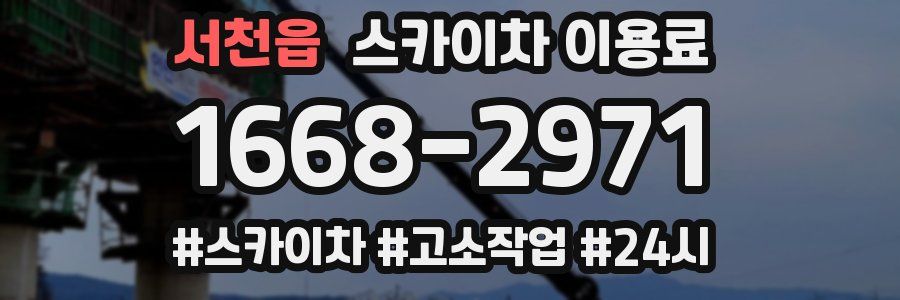 서천읍 스카이차 이용료