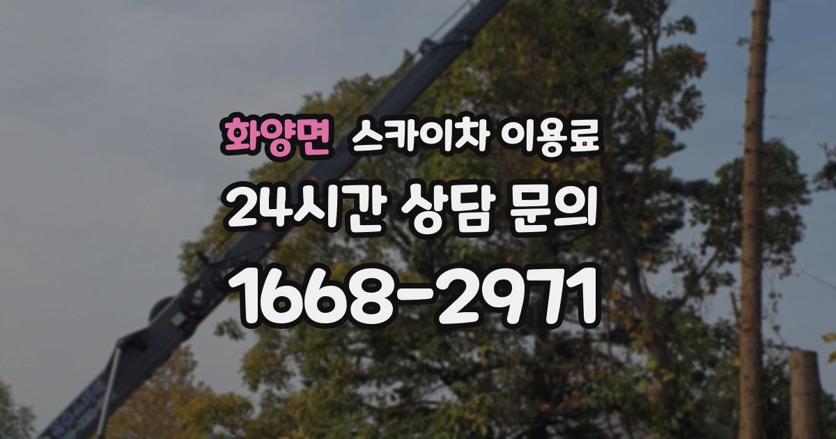 화양면 스카이차 이용료