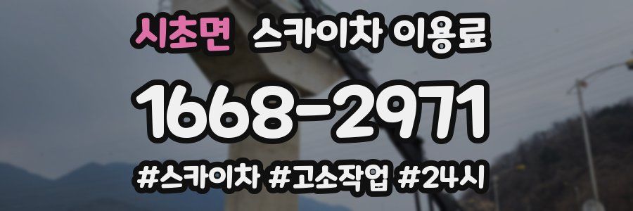 시초면 스카이차 이용료