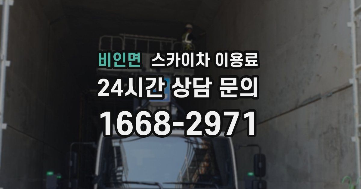 비인면 스카이차 이용료