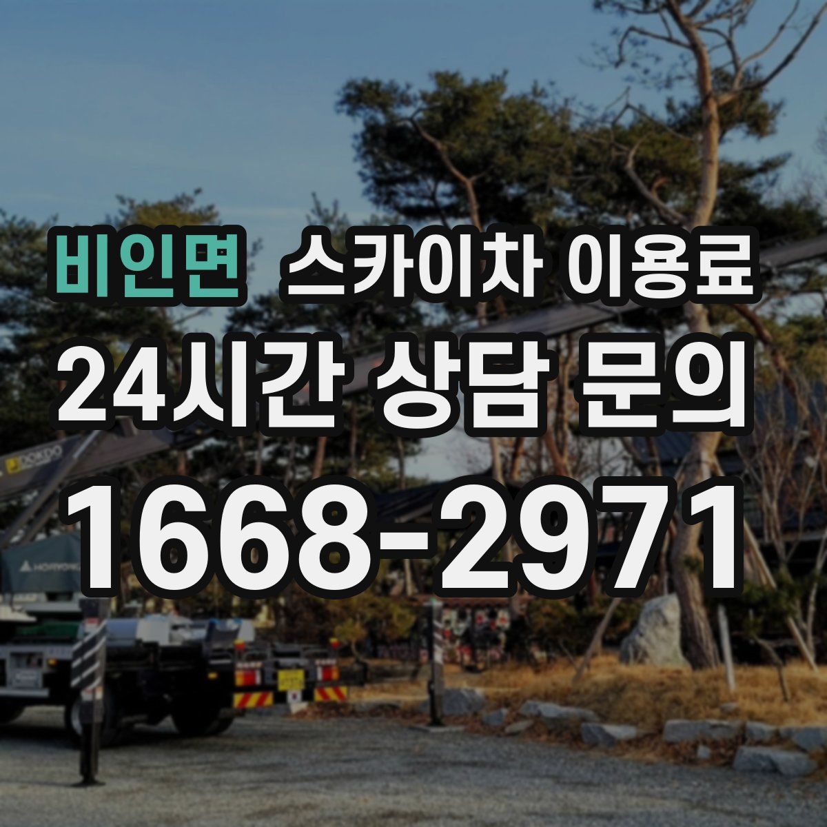 비인면 스카이차 이용료