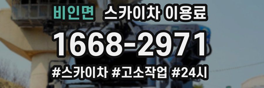 비인면 스카이차 이용료