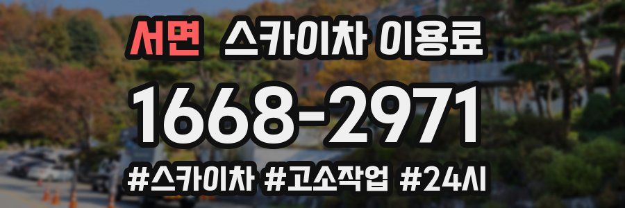 서면 스카이차 이용료