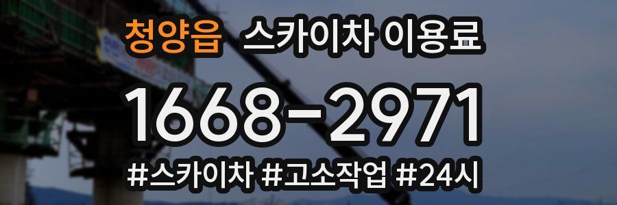 청양읍 스카이차 이용료